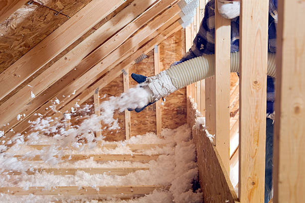 Reliable La Presa, CA Insulation Removal & Installation Solutions